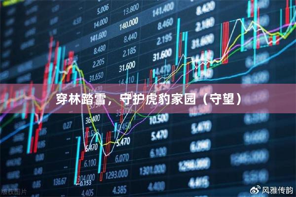 穿林踏雪，守护虎豹家园（守望）
