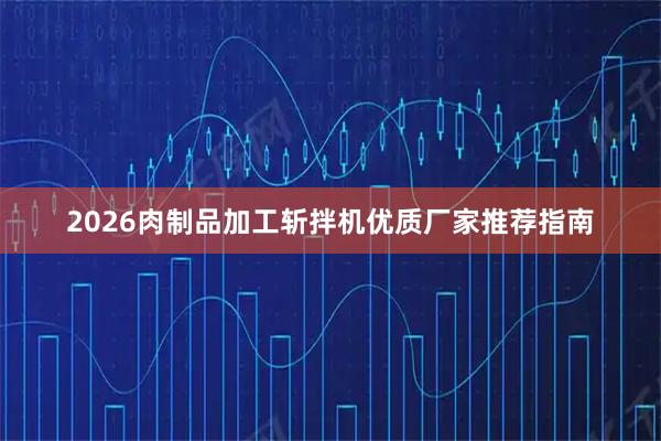 2026肉制品加工斩拌机优质厂家推荐指南