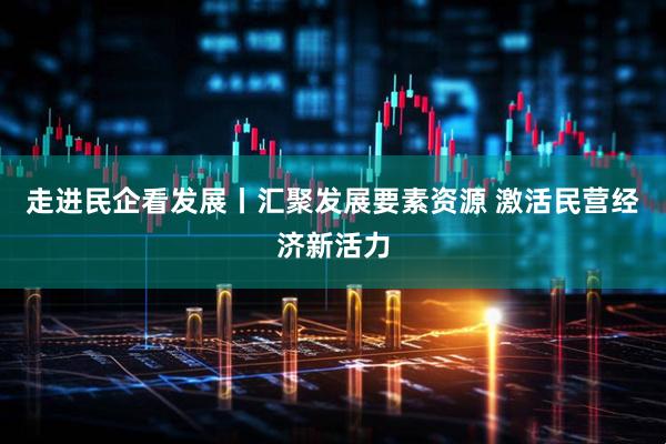 走进民企看发展丨汇聚发展要素资源 激活民营经济新活力